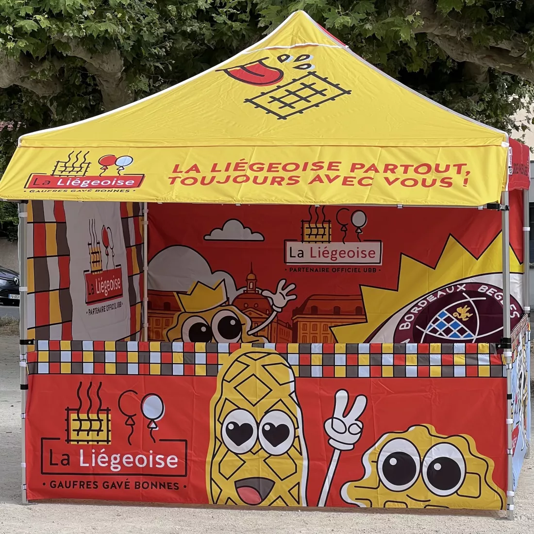 Bache de toit pour barnum pliant aluminium Pro M2